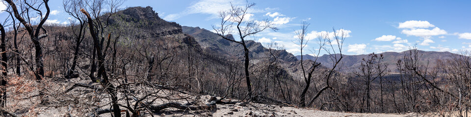 Panorama showing the damage from the 2025 bushfires started by lightning strikes  in the Grampians (Gariwerd) National Park.