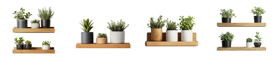 Arrangement of various potted plants displayed on wooden shelves in a modern minimalist interior design setting  The natural greenery creates a fresh organic aesthetic for the home or office space