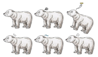 シロクマセット