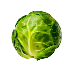 Fototapeta premium 018-Brussels sprouts Commercial isolate with white background no cast shadow