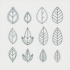 set of leaves