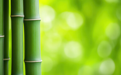 Fototapeta premium close up of green bamboo stalks against blurred green background, showcasing natural beauty and texture of bamboo. vibrant green color evokes sense of tranquility and freshness