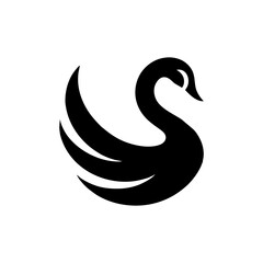 Elegant Black Swan Silhouette