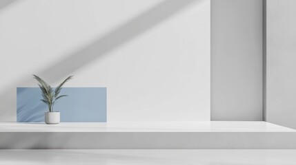 Presentation Mockup: White Minimalist Scene with Plant and Blue Accent 