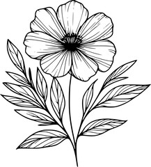This is an illustration of flowers in a simple and modern line art style.
