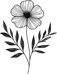 A flower illustration with clean, simple line on a white background