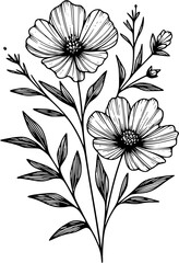 A flower illustration with clean, simple line on a white background