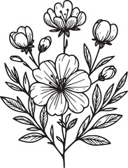 This is an illustration of flowers in a simple and modern line art style.