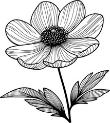 This is an illustration of flowers in a simple and modern line art style.