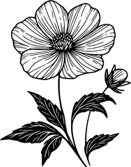 This is an illustration of flowers in a simple and modern line art style.
