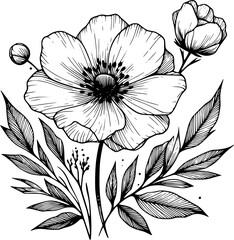 This is an illustration of flowers in a simple and modern line art style.