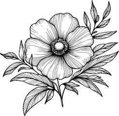 This is an illustration of flowers in a simple and modern line art style.