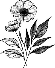 This is an illustration of flowers in a simple and modern line art style.