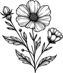This is an illustration of flowers in a simple and modern line art style.