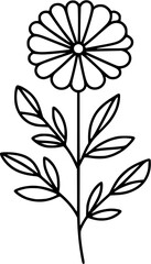 This is an illustration of flowers in a simple and modern line art style.