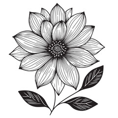 This is an illustration of flowers in a simple and modern line art style.
