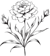 This is an illustration of flowers in a simple and modern line art style.