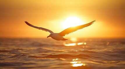 Seagull soars at sunset over ocean waves nature scene warm light tranquil environment serene viewpoint