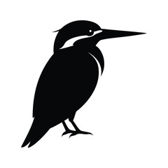 vector illustration of a black bird