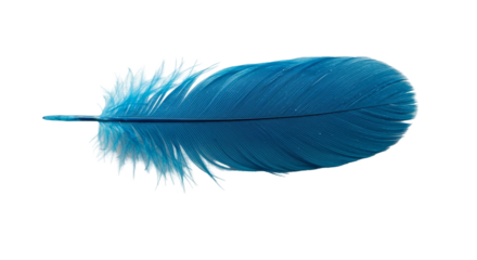 blue feather isolated on transparent background
