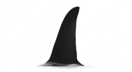 Fototapeta premium Isolated Black Shark Fin Dorsal Fin Aquatic Animal Ocean Predator Wildlife Marine Life Underwater