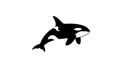 Fototapeta premium Striking Orca Silhouette Black and White Killer Whale Graphic Design