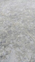遊んだ園児たちの足跡の残る公園の庭