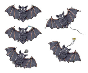 コウモリセット