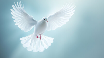 Obraz premium A white dove soaring with open wings, symbolizing peace, freedom, and hope. Perfect for International Day of Peace.