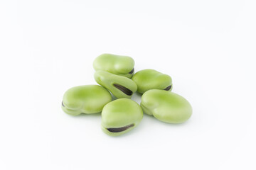 白背景にソラマメの実
