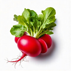 795-Radishes Commercial isolate with white background no cast shadow