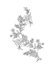 Abstract line art botanical drawing with wild flowers, leaves. Trendy greenery black ink sketch vector illustration on transparent background, ornament, frame, border for invitation, greeting card.