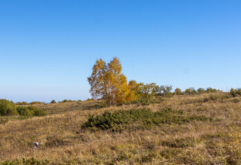 Fototapeta premium panorama of the mountainous area in the autumn, yellowed slopes, remnants of meadow grass and dried plants