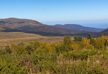 panorama of the mountainous area in the autumn, yellowed slopes, remnants of meadow grass and dried plants