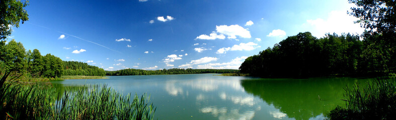 Beautiful wide landscape - blue lake in evergreen forest under fluffy clouds in the sky on a sunny day, with green grass in the foreground