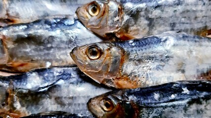 close up of a dried fish
