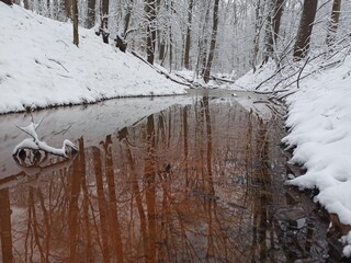 Polanský Forest Nature Reserve, Potok Mlýnka