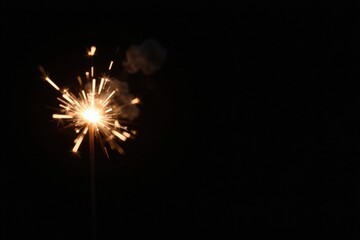 Fototapeta premium A bright sparkler burns brightly against a dark background, radiating light and energy in the night sky