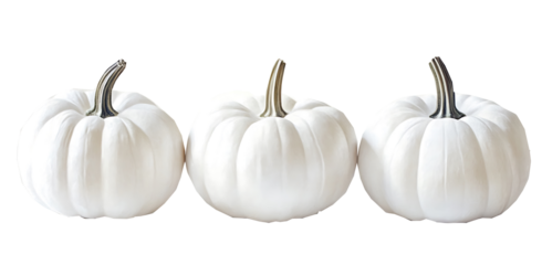 Three white pumpkins, white background