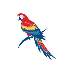 Scarlet Macaw bird silhouette logo vector line art logo design