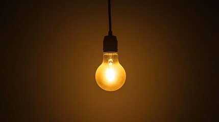 A single bulb light glowing brightly against a dark background, symbolizing focus and clarity.
