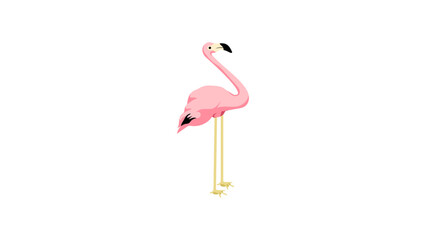 Obraz premium Flamingo Flat illustration vector