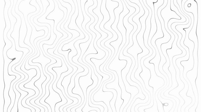 Creative abstract patterns line for motion graphics. Universal luxury background.