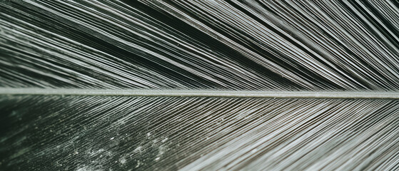 Close up of textured bamboo leaf with intricate vein patterns