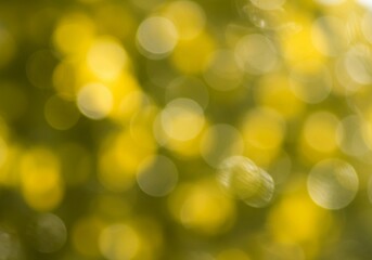 Obraz premium The soft focus abstract features blurred yellow and green, with dominant yellow hues and a strong bokeh light effect, creating an ethereal background