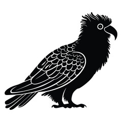 Fototapeta premium Kakapo Silhouette, Vector, Logo, white Background.