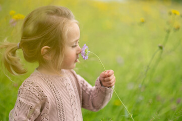 wie riecht denn eigentlich die Blume
