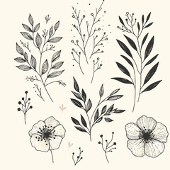 botanical flowers vector