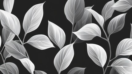 Monochrome leaf pattern, botanical illustration, dark background, nature design, website banner