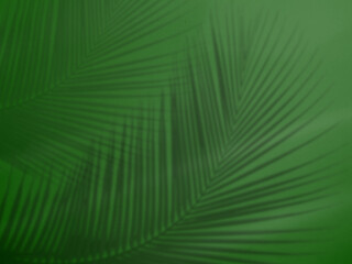 Obraz premium Shadow palm leaf summer backgroun overlay green color template mockup pastel minimal for presentation product cosmetic aesthetic beauty, poster backdrop artistic marketing, sunshine nature room.
